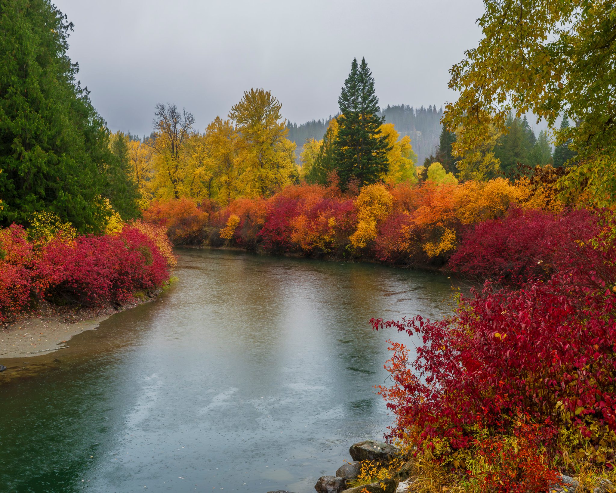 Fall foliage along a river in Washington State